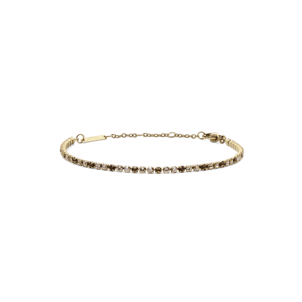 Daniel Wellington Classic Tennis Bracelet Honey Combo Gold