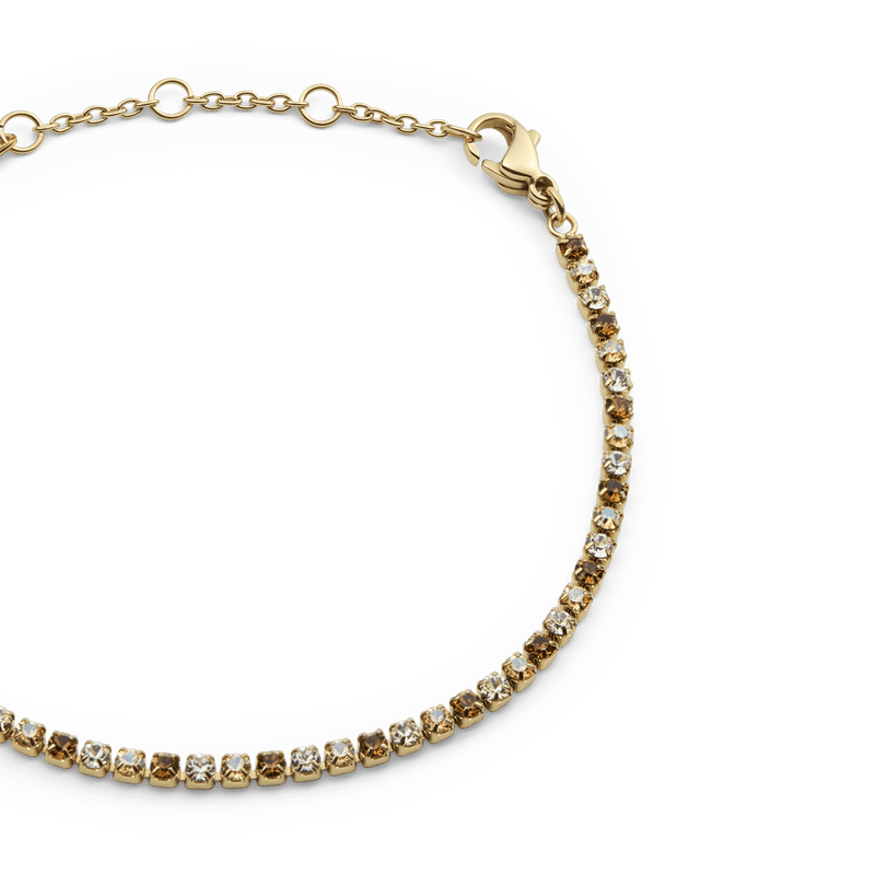Daniel Wellington Classic Tennis Bracelet Honey Combo Gold